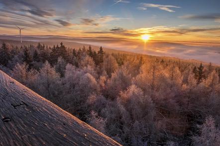 Schönberg Christoph  - FOTO-CLUB ARZBERG - Frozen sunrise - Annahme