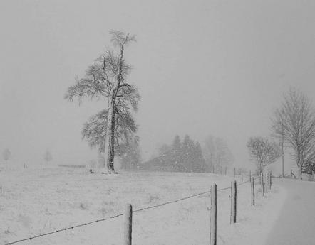 Crispien Achim - Fotofreunde Wiggensbach - Winter ist zurück - Annahme