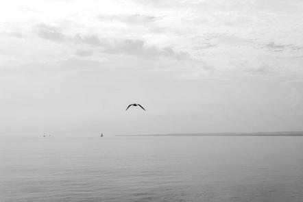 Gerhard Thomann - Der Vogel und das Wasser