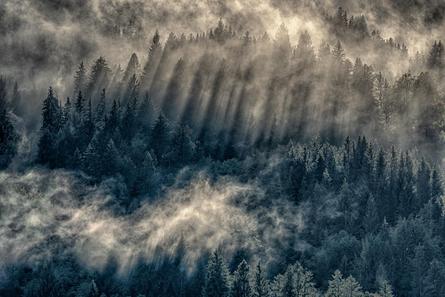 Hildebrand Peter - Fotofreunde Wiggensbach - Der Nebel lichtet sich - Annahme