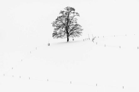 Robert  Seitz - Fotoclub Mindelheim - Der Winterbaum