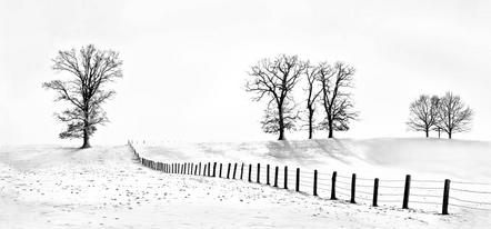 Martin Gabler - Fotofreunde Wiggensbach - Wintergrafik - Annahme