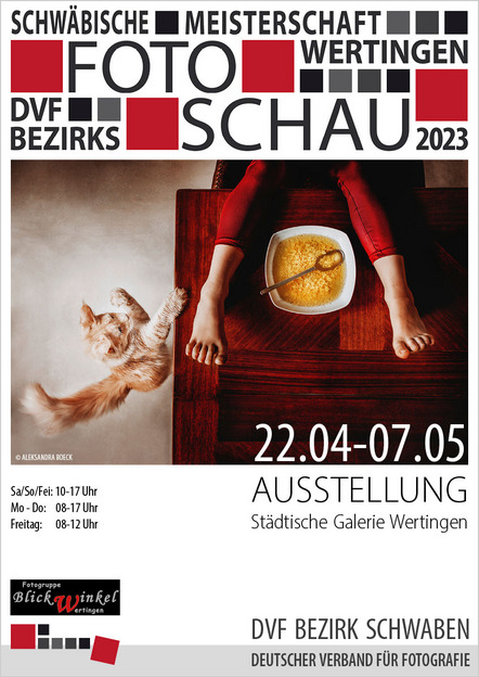 Ausstellung Schwäbische Fotomeisterschaft 2023