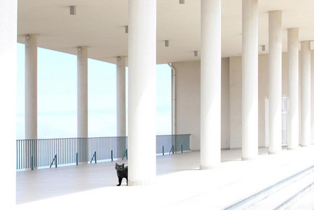 Pinkl Albert J. - Foto-Desperados - Cat and columns - Annahme