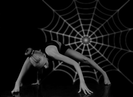 Münch Angela - Fotoclub Cham - Spiderwomen - Annahme